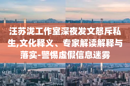 汪蘇瀧工作室深夜發(fā)文怒斥私生,文化釋義、專家解讀解釋與落實-警惕虛假信息迷霧