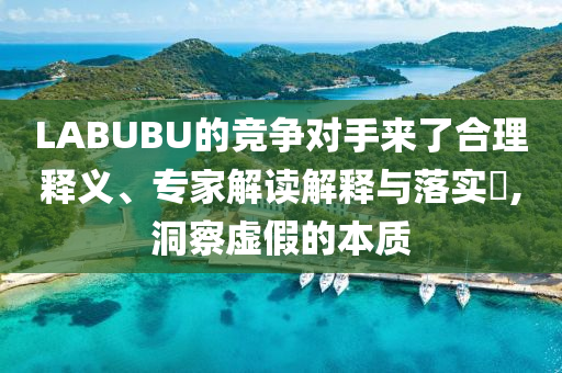 LABUBU的競爭對(duì)手來了合理釋義、專家解讀解釋與落實(shí)?,洞察虛假的本質(zhì)