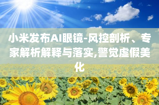 小米發(fā)布AI眼鏡-風(fēng)控剖析、專家解析解釋與落實(shí),警覺虛假美化