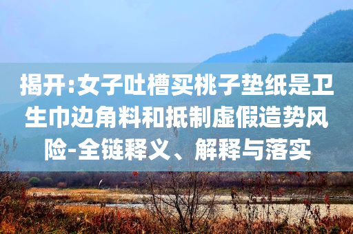 揭開:女子吐槽買桃子墊紙是衛(wèi)生巾邊角料和抵制虛假造勢風險-全鏈釋義、解釋與落實
