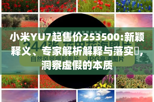小米YU7起售價253500:新穎釋義、專家解析解釋與落實?,洞察虛假的本質(zhì)