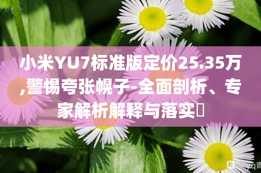 小米YU7標(biāo)準(zhǔn)版定價(jià)25.35萬(wàn),警惕夸張幌子-全面剖析、專家解析解釋與落實(shí)?