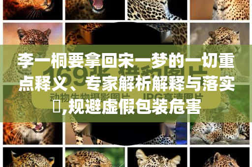 李一桐要拿回宋一夢的一切重點(diǎn)釋義、專家解析解釋與落實(shí)?,規(guī)避虛假包裝危害