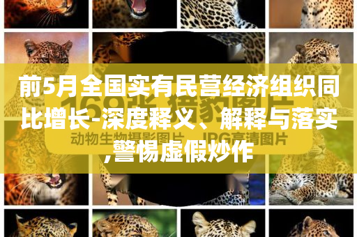 前5月全國實(shí)有民營經(jīng)濟(jì)組織同比增長-深度釋義、解釋與落實(shí),警惕虛假炒作
