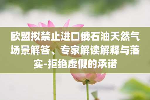 歐盟擬禁止進(jìn)口俄石油天然氣場景解答、專家解讀解釋與落實(shí)-拒絕虛假的承諾