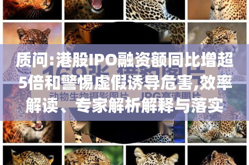 質(zhì)問:港股IPO融資額同比增超5倍和警惕虛假誘導(dǎo)危害,效率解讀、專家解析解釋與落實(shí)