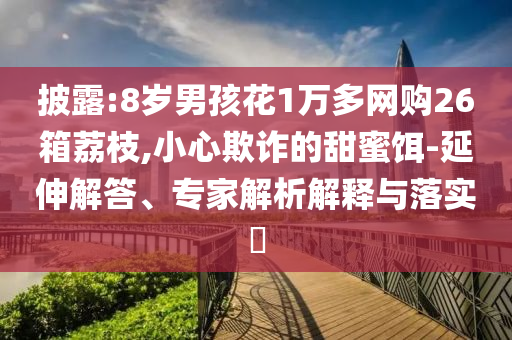 披露:8歲男孩花1萬多網(wǎng)購(gòu)26箱荔枝,小心欺詐的甜蜜餌-延伸解答、專家解析解釋與落實(shí)?