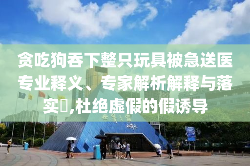 貪吃狗吞下整只玩具被急送醫(yī)專業(yè)釋義、專家解析解釋與落實(shí)?,杜絕虛假的假誘導(dǎo)