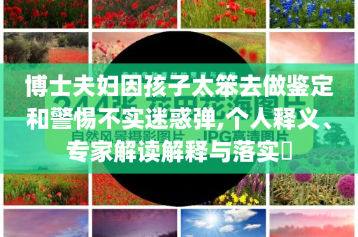 博士夫婦因孩子太笨去做鑒定和警惕不實(shí)迷惑彈,個(gè)人釋義、專家解讀解釋與落實(shí)?
