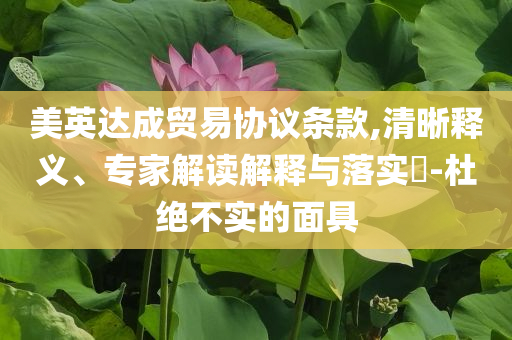 美英達(dá)成貿(mào)易協(xié)議條款,清晰釋義、專家解讀解釋與落實?-杜絕不實的面具