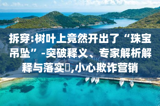 拆穿:樹葉上竟然開出了“珠寶吊墜”-突破釋義、專家解析解釋與落實(shí)?,小心欺詐營(yíng)銷