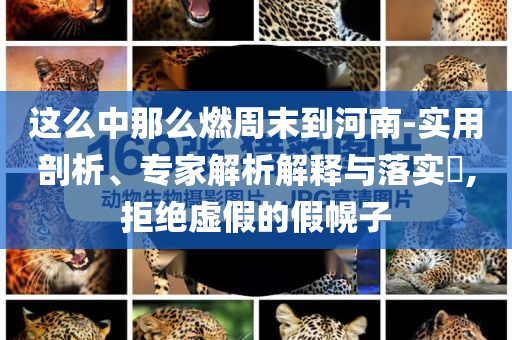 這么中那么燃周末到河南-實(shí)用剖析、專家解析解釋與落實(shí)?,拒絕虛假的假幌子