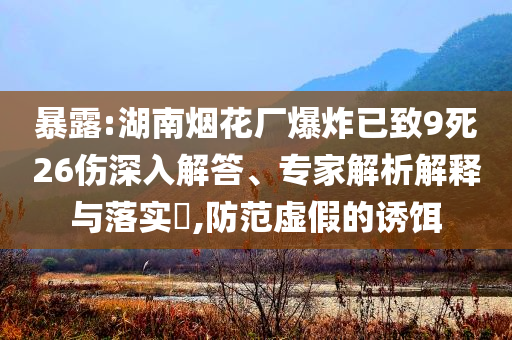 暴露:湖南煙花廠爆炸已致9死26傷深入解答、專家解析解釋與落實?,防范虛假的誘餌
