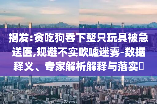 揭發(fā):貪吃狗吞下整只玩具被急送醫(yī),規(guī)避不實(shí)吹噓迷霧-數(shù)據(jù)釋義、專家解析解釋與落實(shí)?