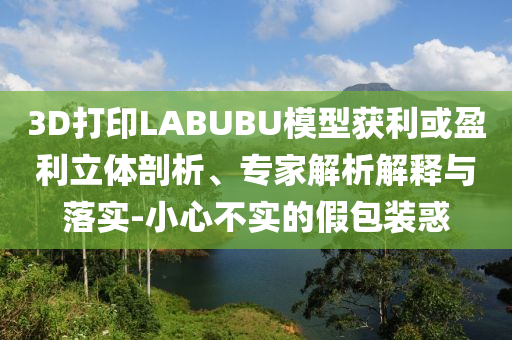 3D打印LABUBU模型獲利或盈利立體剖析、專家解析解釋與落實(shí)-小心不實(shí)的假包裝惑