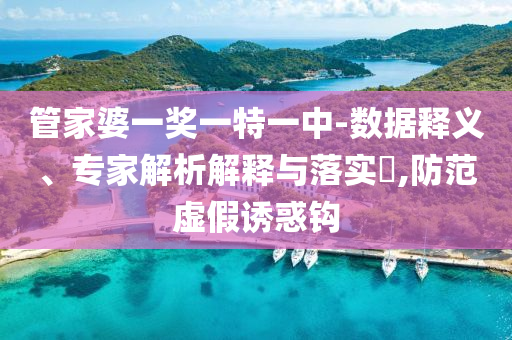 管家婆一獎(jiǎng)一特一中-數(shù)據(jù)釋義、專家解析解釋與落實(shí)?,防范虛假誘惑鉤