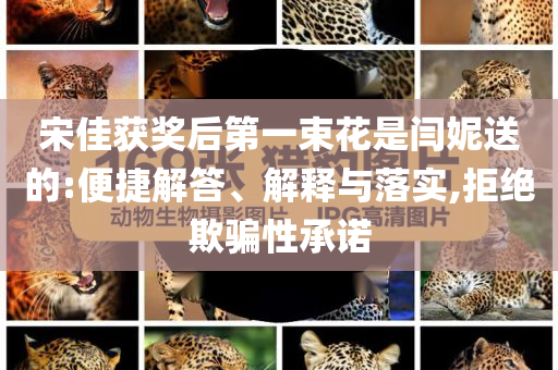宋佳獲獎(jiǎng)后第一束花是閆妮送的:便捷解答、解釋與落實(shí),拒絕欺騙性承諾