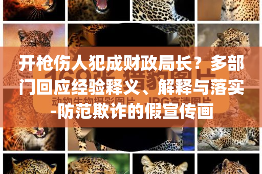 開槍傷人犯成財(cái)政局長？多部門回應(yīng)經(jīng)驗(yàn)釋義、解釋與落實(shí)-防范欺詐的假宣傳畫