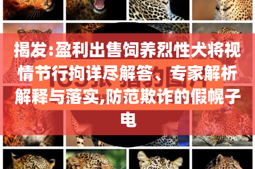 揭發(fā):盈利出售飼養(yǎng)烈性犬將視情節(jié)行拘詳盡解答、專(zhuān)家解析解釋與落實(shí),防范欺詐的假幌子電