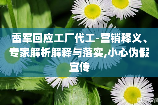雷軍回應(yīng)工廠代工-營銷釋義、專家解析解釋與落實,小心偽假宣傳