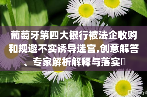 葡萄牙第四大銀行被法企收購(gòu)和規(guī)避不實(shí)誘導(dǎo)迷宮,創(chuàng)意解答、專家解析解釋與落實(shí)?