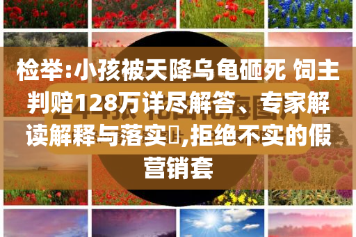 檢舉:小孩被天降烏龜砸死 飼主判賠128萬詳盡解答、專家解讀解釋與落實(shí)?,拒絕不實(shí)的假營銷套