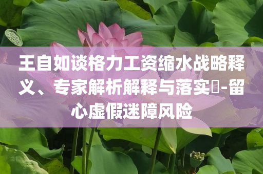 王自如談格力工資縮水戰(zhàn)略釋義、專家解析解釋與落實(shí)?-留心虛假迷障風(fēng)險(xiǎn)