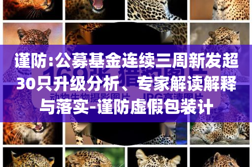 謹(jǐn)防:公募基金連續(xù)三周新發(fā)超30只升級(jí)分析、專家解讀解釋與落實(shí)-謹(jǐn)防虛假包裝計(jì)