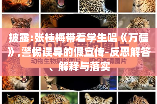 披露:張桂梅帶著學(xué)生唱《萬疆》,警惕誤導(dǎo)的假宣傳-反思解答、解釋與落實