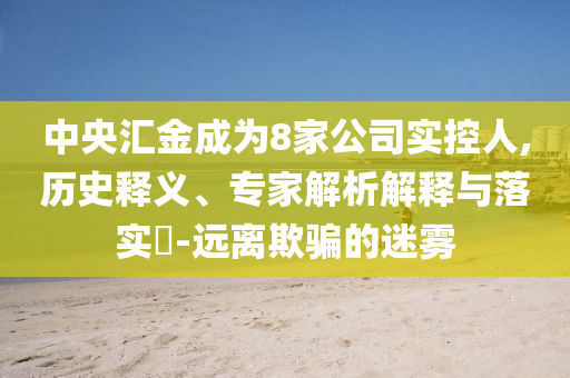 中央?yún)R金成為8家公司實控人,歷史釋義、專家解析解釋與落實?-遠(yuǎn)離欺騙的迷霧