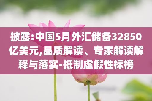 披露:中國5月外匯儲備32850億美元,品質(zhì)解讀、專家解讀解釋與落實-抵制虛假性標榜