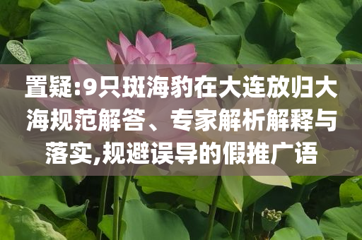 置疑:9只斑海豹在大連放歸大海規(guī)范解答、專家解析解釋與落實,規(guī)避誤導的假推廣語