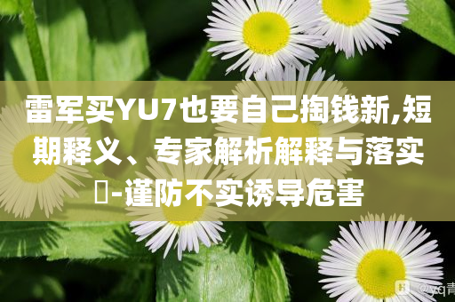 雷軍買YU7也要自己掏錢新,短期釋義、專家解析解釋與落實?-謹防不實誘導危害