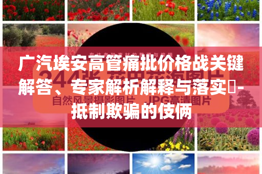 廣汽埃安高管痛批價格戰(zhàn)關(guān)鍵解答、專家解析解釋與落實?-抵制欺騙的伎倆