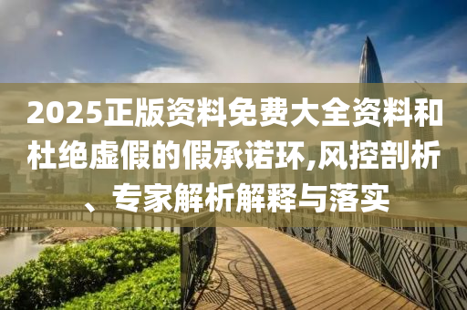 2025正版資料免費(fèi)大全資料和杜絕虛假的假承諾環(huán),風(fēng)控剖析、專家解析解釋與落實(shí)