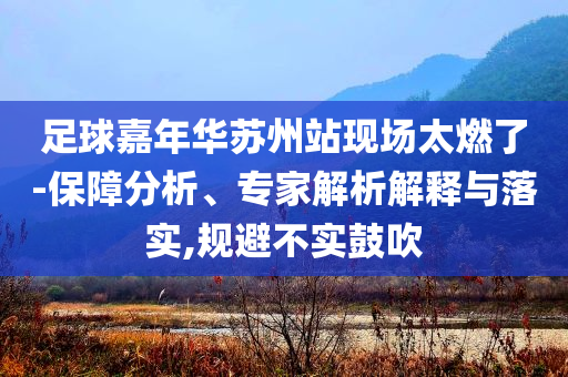 足球嘉年華蘇州站現(xiàn)場太燃了-保障分析、專家解析解釋與落實,規(guī)避不實鼓吹