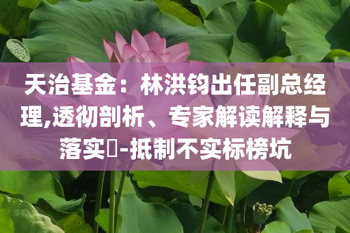 天治基金：林洪鈞出任副總經(jīng)理,透徹剖析、專家解讀解釋與落實?-抵制不實標榜坑