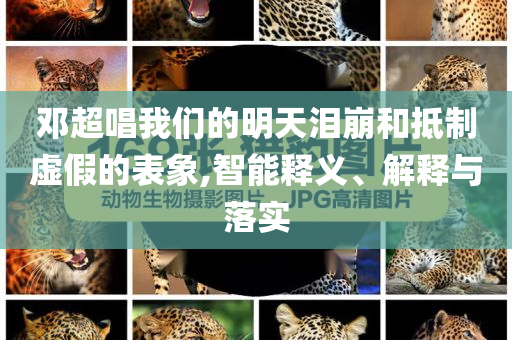 鄧超唱我們的明天淚崩和抵制虛假的表象,智能釋義、解釋與落實