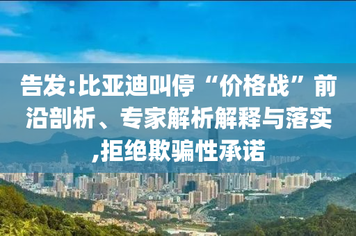 告發(fā):比亞迪叫?！皟r格戰(zhàn)”前沿剖析、專家解析解釋與落實,拒絕欺騙性承諾