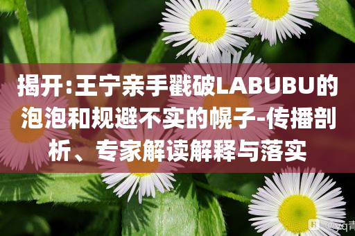 揭開:王寧親手戳破LABUBU的泡泡和規(guī)避不實的幌子-傳播剖析、專家解讀解釋與落實