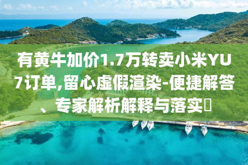 有黃牛加價1.7萬轉(zhuǎn)賣小米YU7訂單,留心虛假渲染-便捷解答、專家解析解釋與落實?