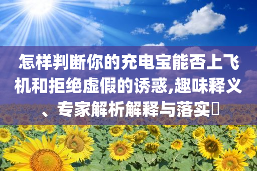 怎樣判斷你的充電寶能否上飛機和拒絕虛假的誘惑,趣味釋義、專家解析解釋與落實?