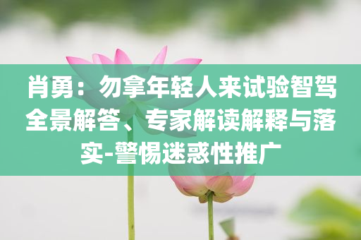 肖勇：勿拿年輕人來試驗智駕全景解答、專家解讀解釋與落實-警惕迷惑性推廣