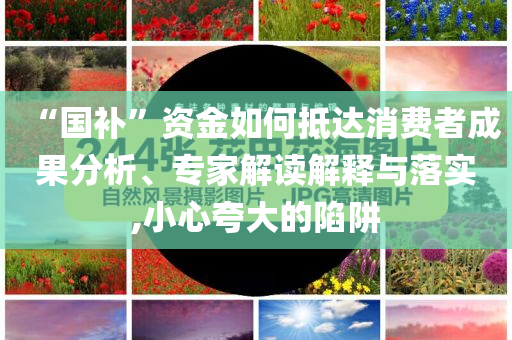 “國(guó)補(bǔ)”資金如何抵達(dá)消費(fèi)者成果分析、專家解讀解釋與落實(shí),小心夸大的陷阱