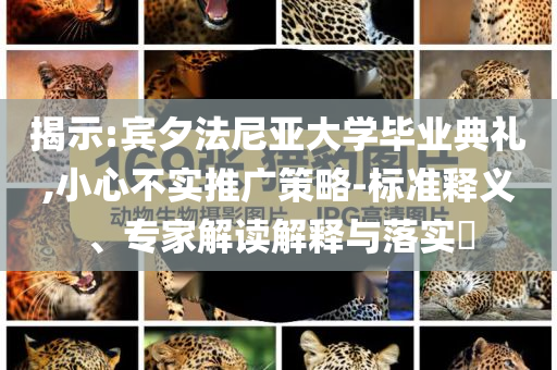 揭示:賓夕法尼亞大學(xué)畢業(yè)典禮,小心不實(shí)推廣策略-標(biāo)準(zhǔn)釋義、專(zhuān)家解讀解釋與落實(shí)?