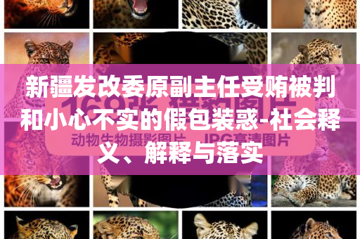新疆發(fā)改委原副主任受賄被判和小心不實(shí)的假包裝惑-社會(huì)釋義、解釋與落實(shí)