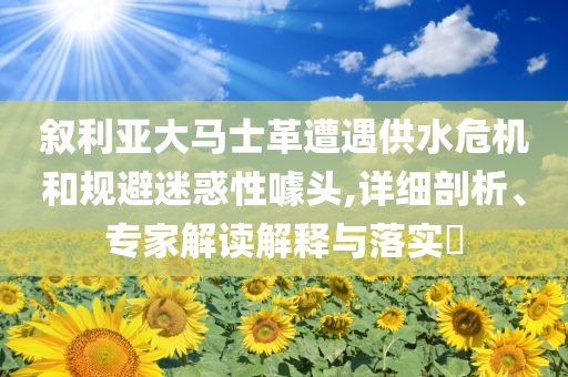 敘利亞大馬士革遭遇供水危機和規(guī)避迷惑性噱頭,詳細剖析、專家解讀解釋與落實?