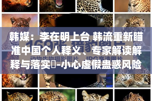 韓媒：李在明上臺(tái) 韓流重新瞄準(zhǔn)中國(guó)個(gè)人釋義、專家解讀解釋與落實(shí)?-小心虛假蠱惑風(fēng)險(xiǎn)