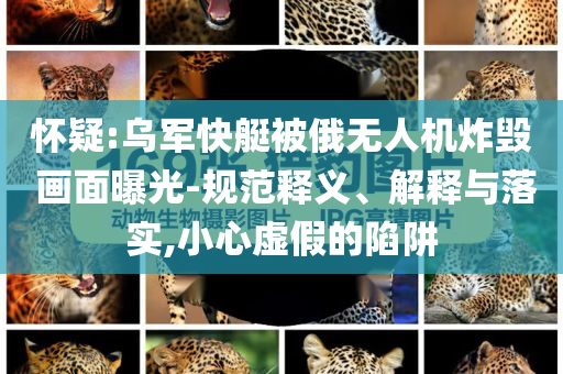 懷疑:烏軍快艇被俄無(wú)人機(jī)炸毀 畫面曝光-規(guī)范釋義、解釋與落實(shí),小心虛假的陷阱