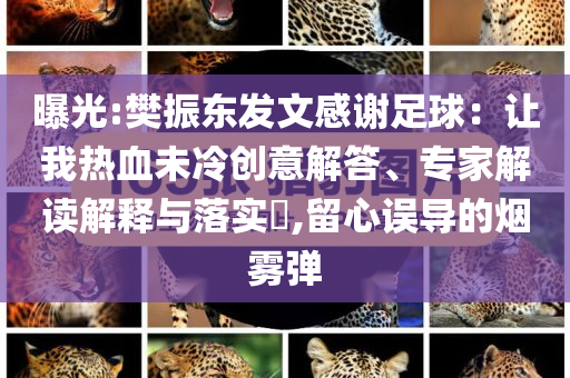 曝光:樊振東發(fā)文感謝足球：讓我熱血未冷創(chuàng)意解答、專家解讀解釋與落實?,留心誤導的煙霧彈
